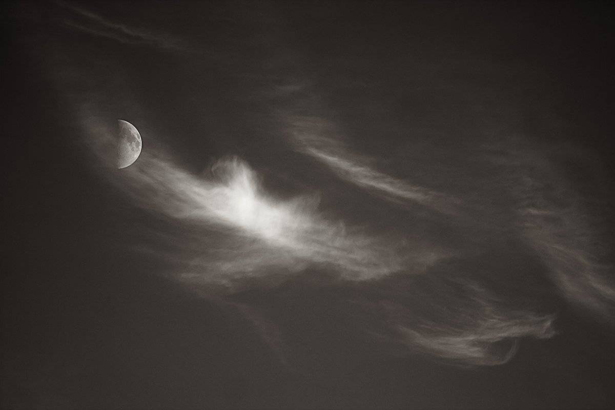 , Сергей Кузнецов