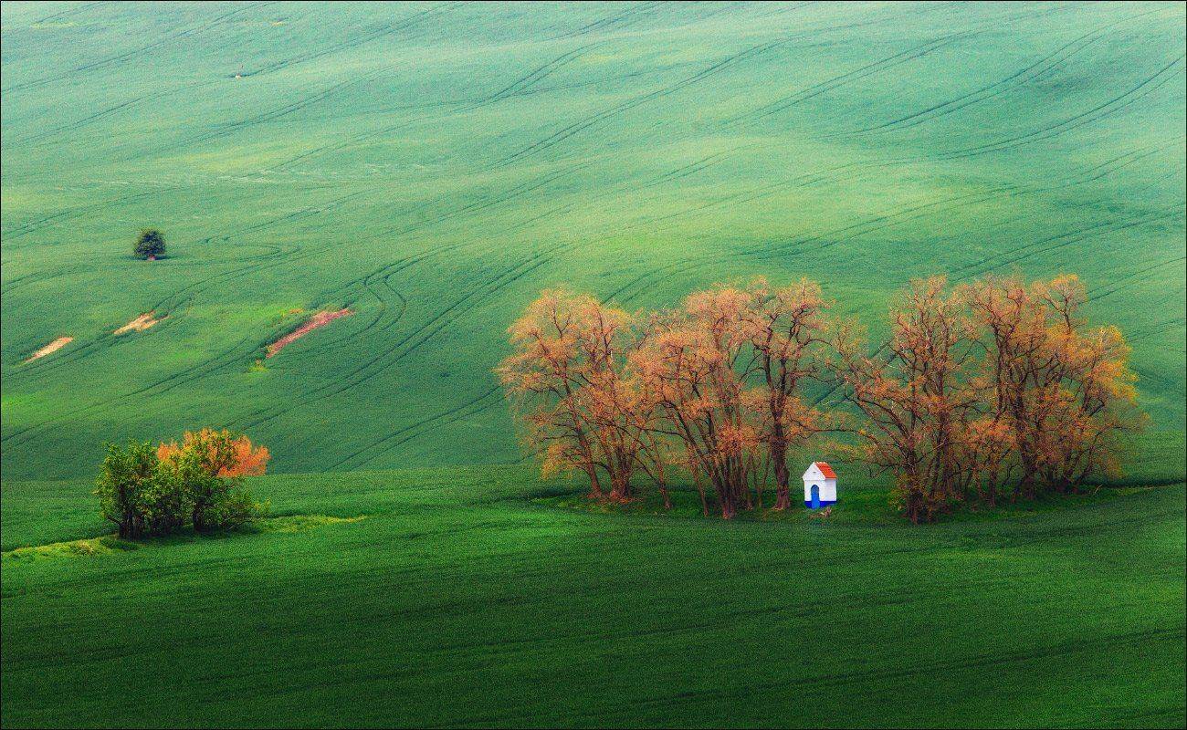 , Рудченко Анатолий