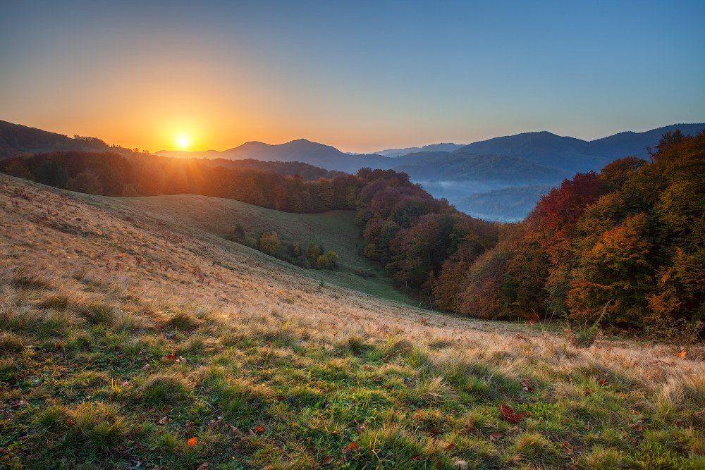 , Ярослав Тюрменко (Jaremi)