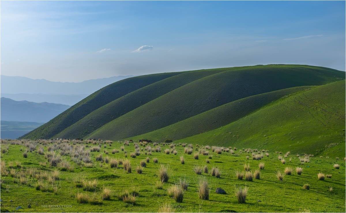 , Кутыгин Эдуард