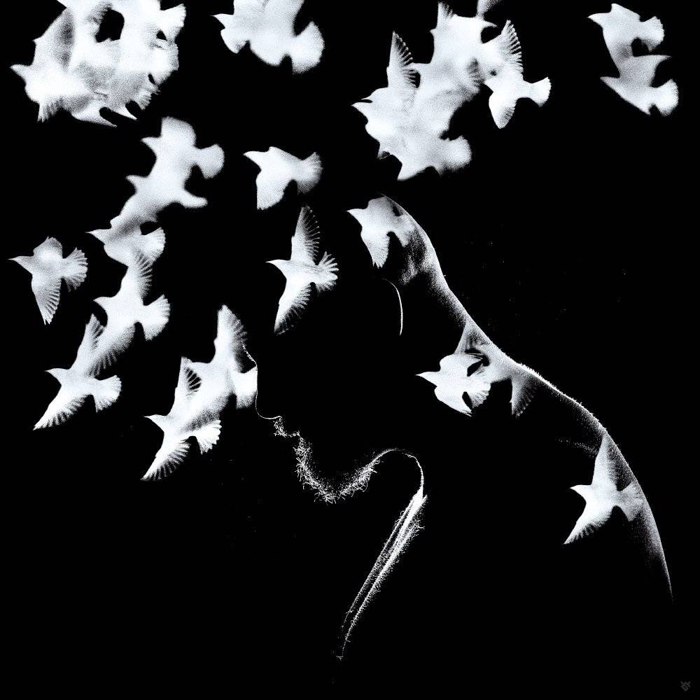 surrealism, dark, birds, photomontage, portrait, Wojciech Grzanka