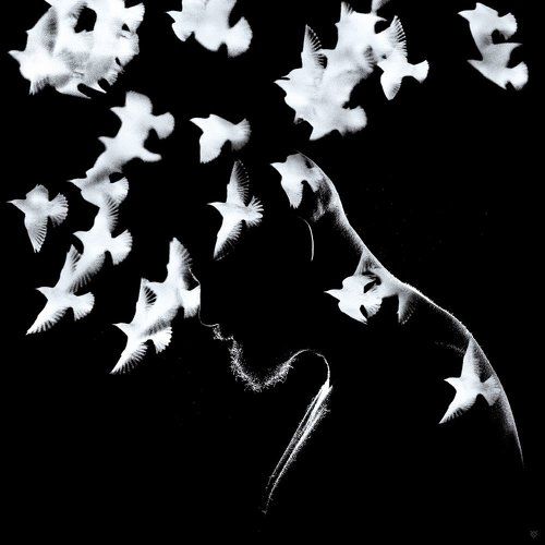 Fleeting thoughts
