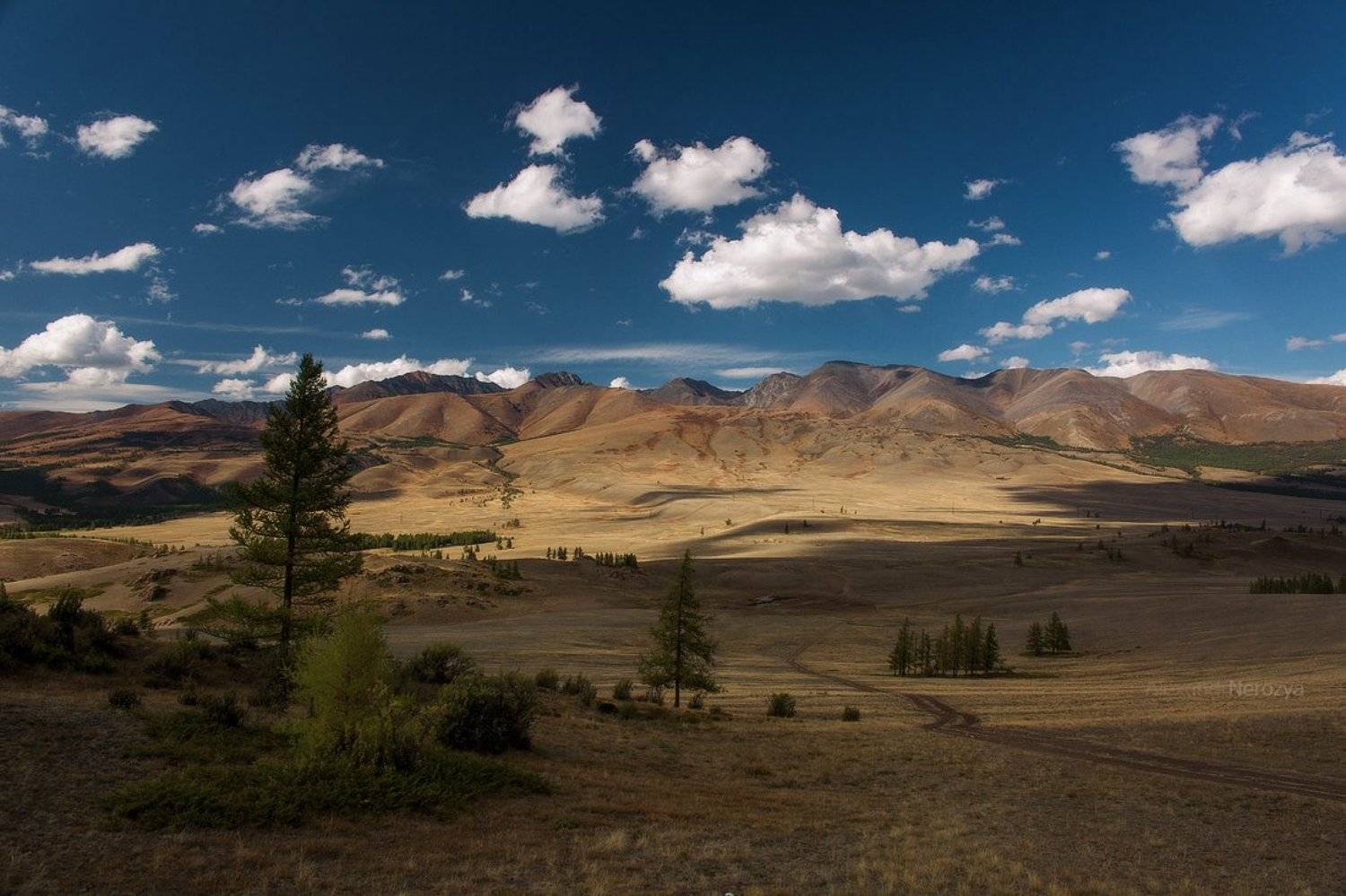 altai, altay, forest, mountains, nature, rocks, russia, siberia, summer, taiga, travel, алтай, горы, лес, природа, россия, сибирь, тайга, туризм, Александр 'Horimono' Нерозя