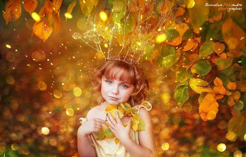 Золотая осень фото превью