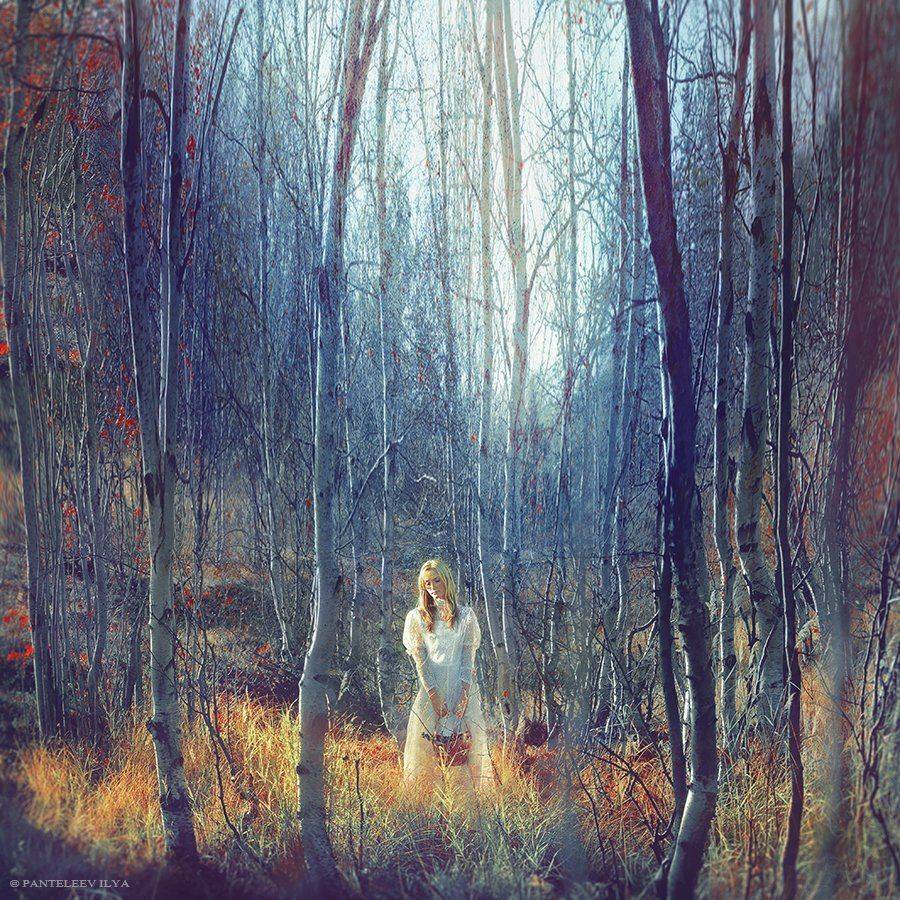 , Пантелеев Илья