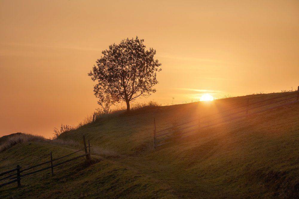 , Ярослав Тюрменко (Jaremi)