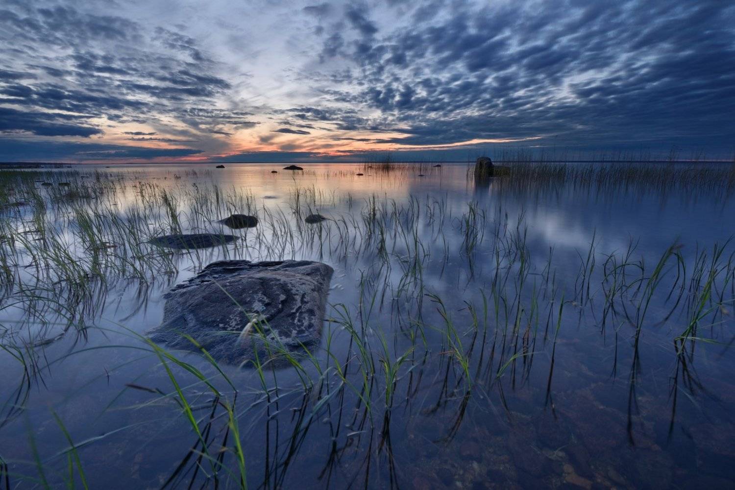 , Максим Евдокимов