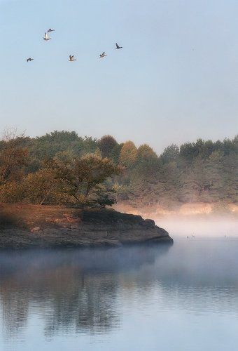 Симфония сентября