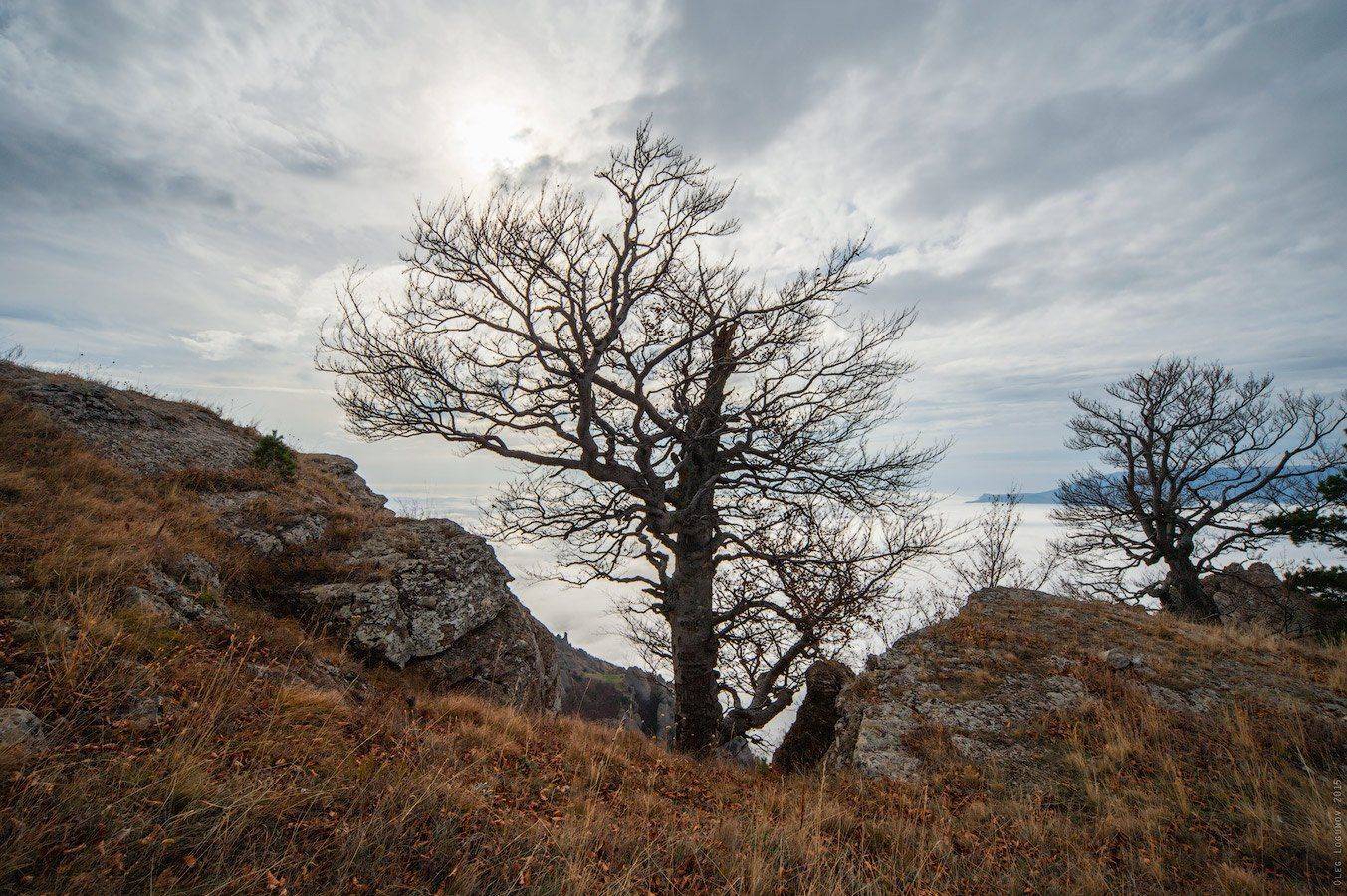 , Олег Логунов