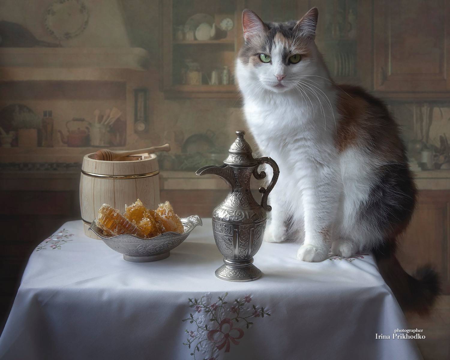 постановочная фотография, натюрморт, мед в сотах, кошка, кухня, Приходько Ирина