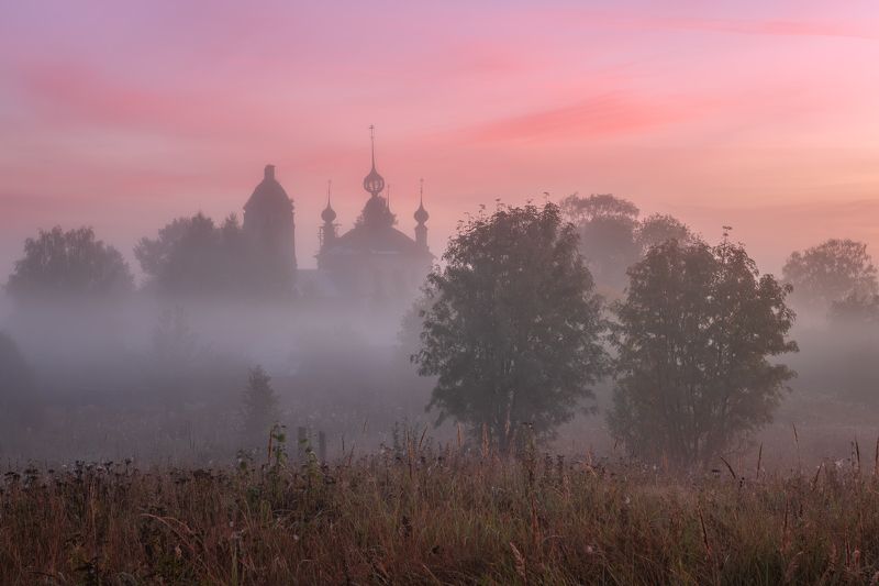 Розовые туманы... фото превью