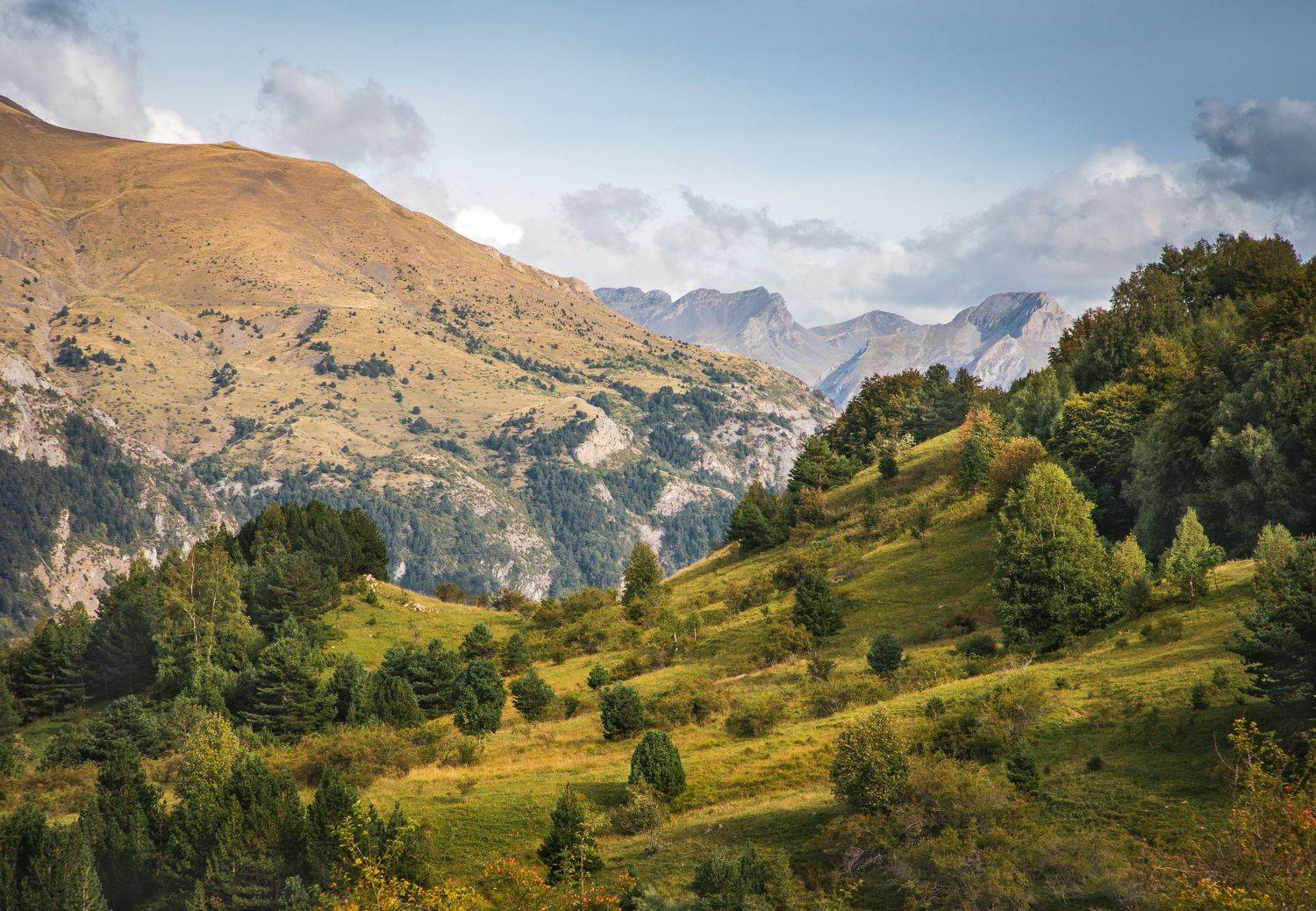 , Алекс Римский