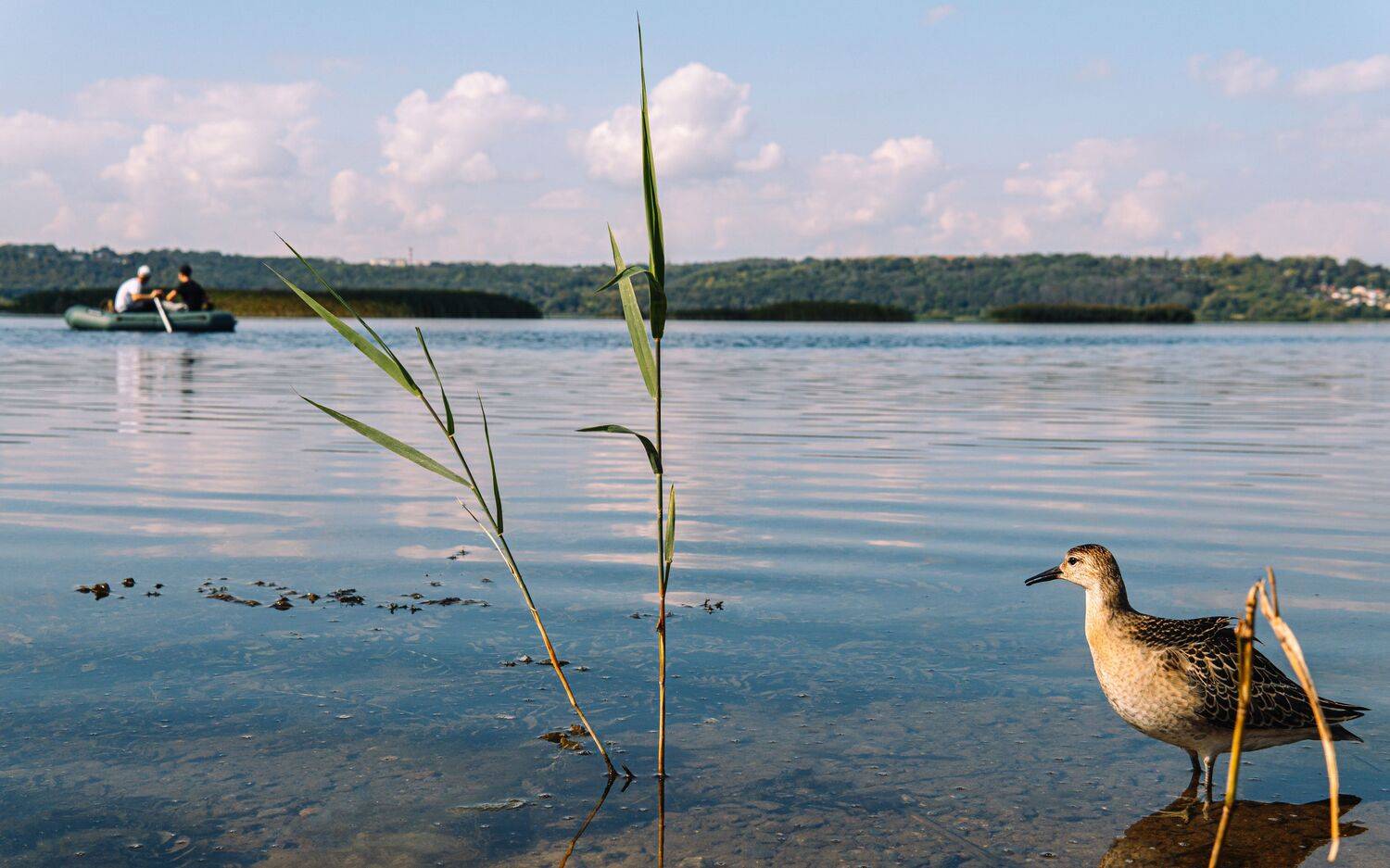 , Вертиков Юрий