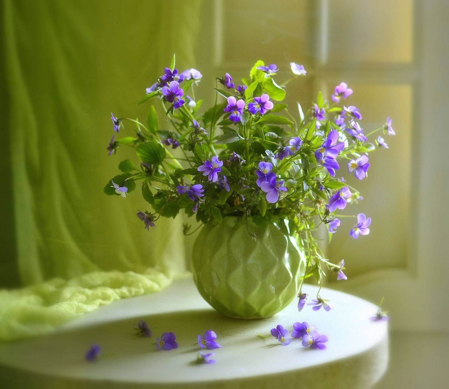 натюрморт,композиция,свет,лето,букет, Инаида