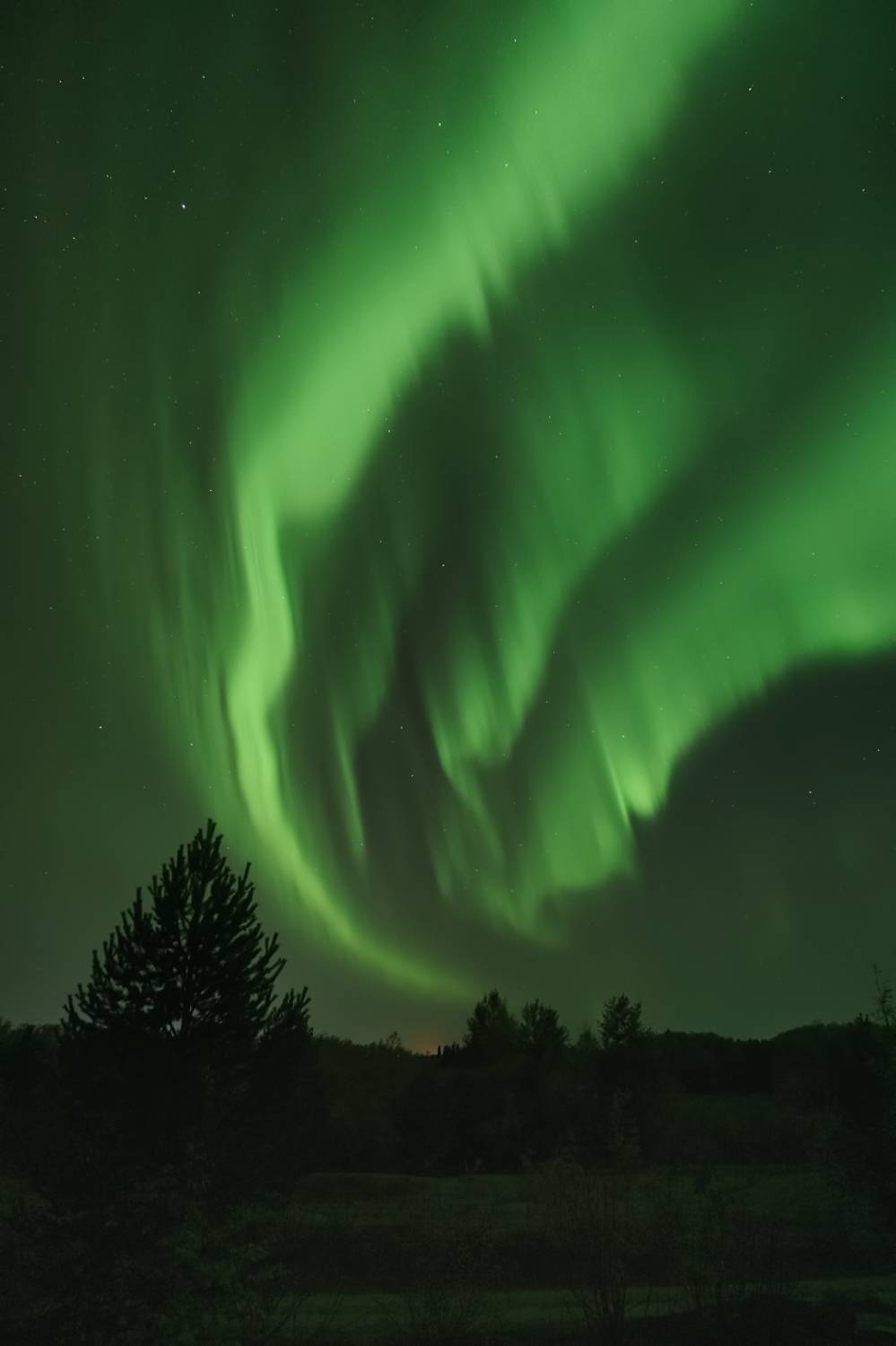 печора, северное сияние, коми, Игорь Подобаев