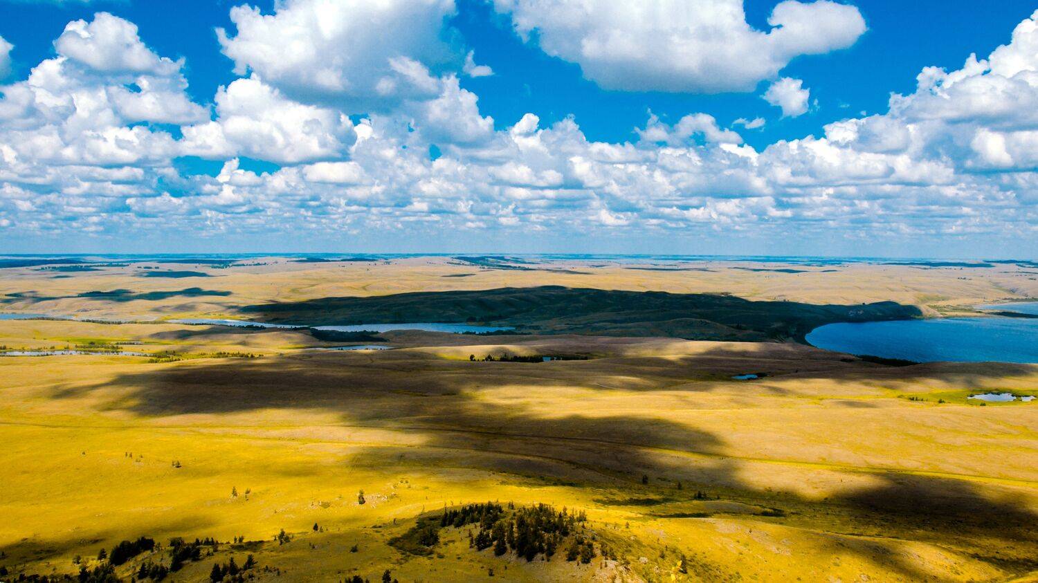 , Савенко Кирилл