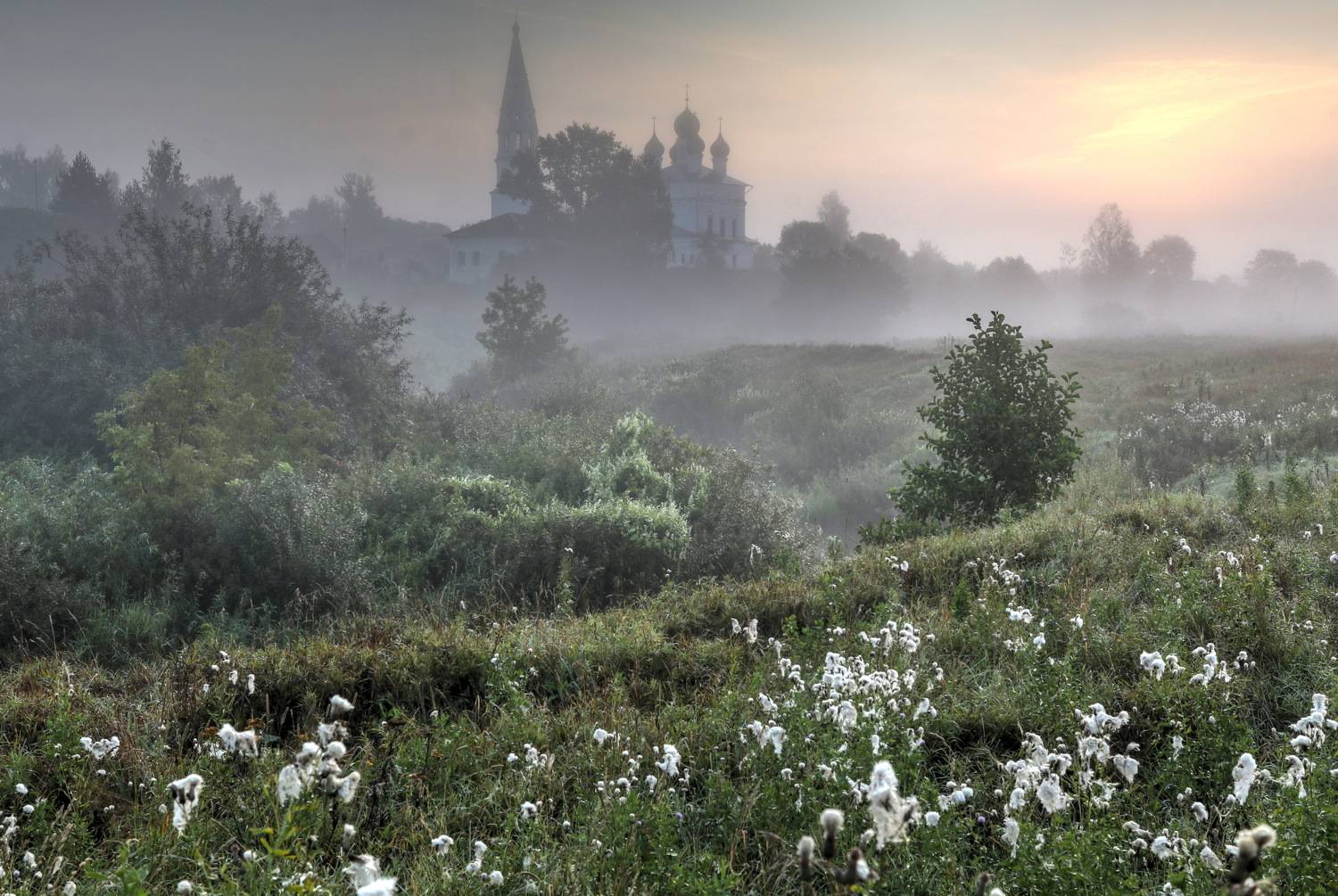 , Добролюбова Тамара