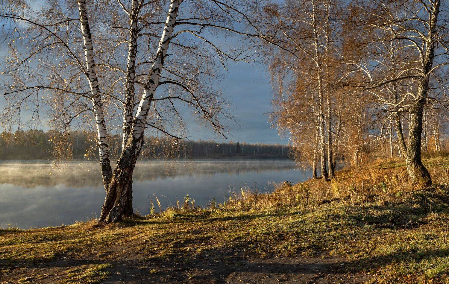 , Алексей Хахлов