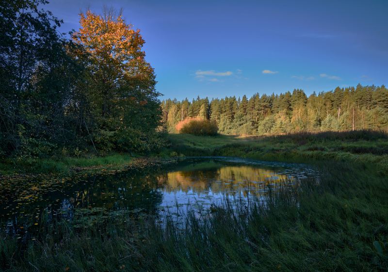 Сентябрь в Винах (Новг. обл.) фото превью