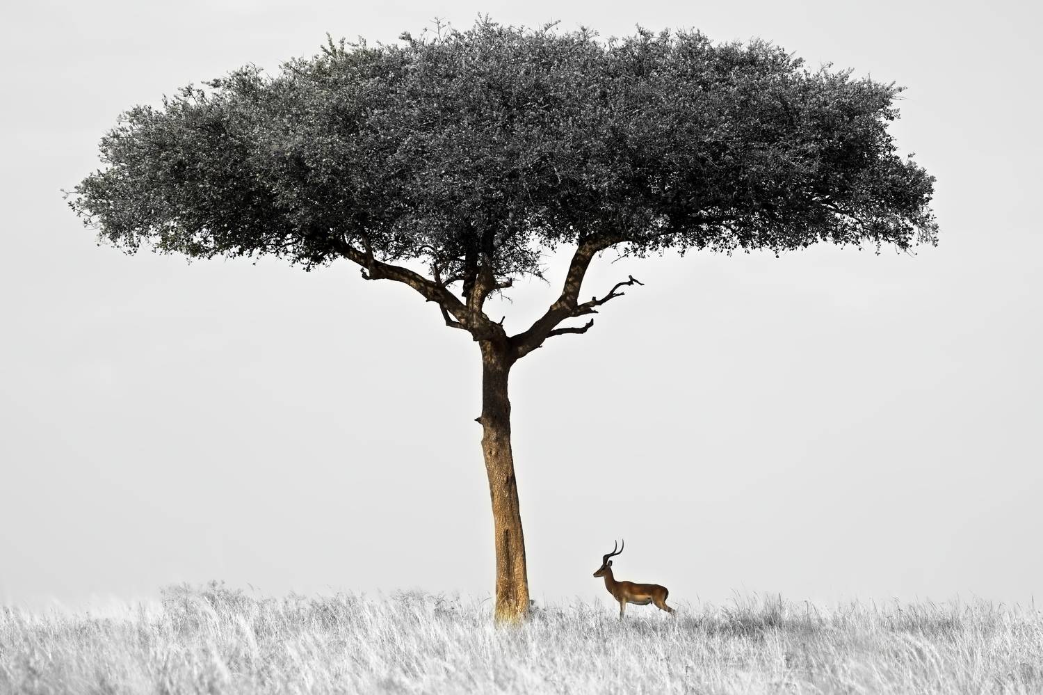 , Александр Перов