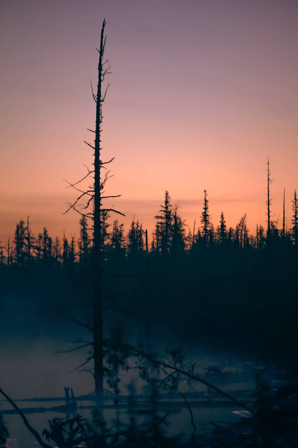 плато Путорана, NIKIFOROVA KSENIA