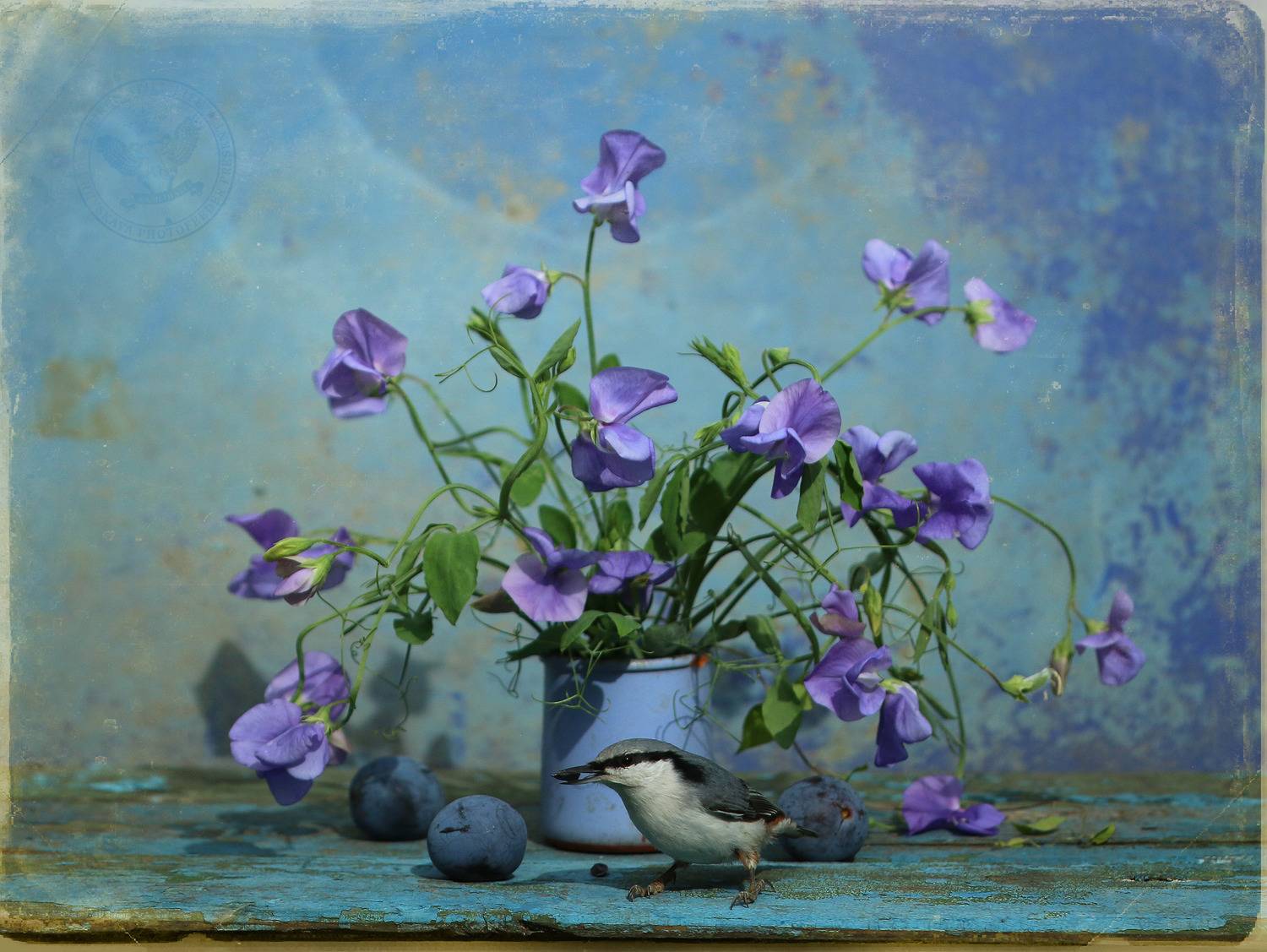 nuthatch, Хромушин Олег