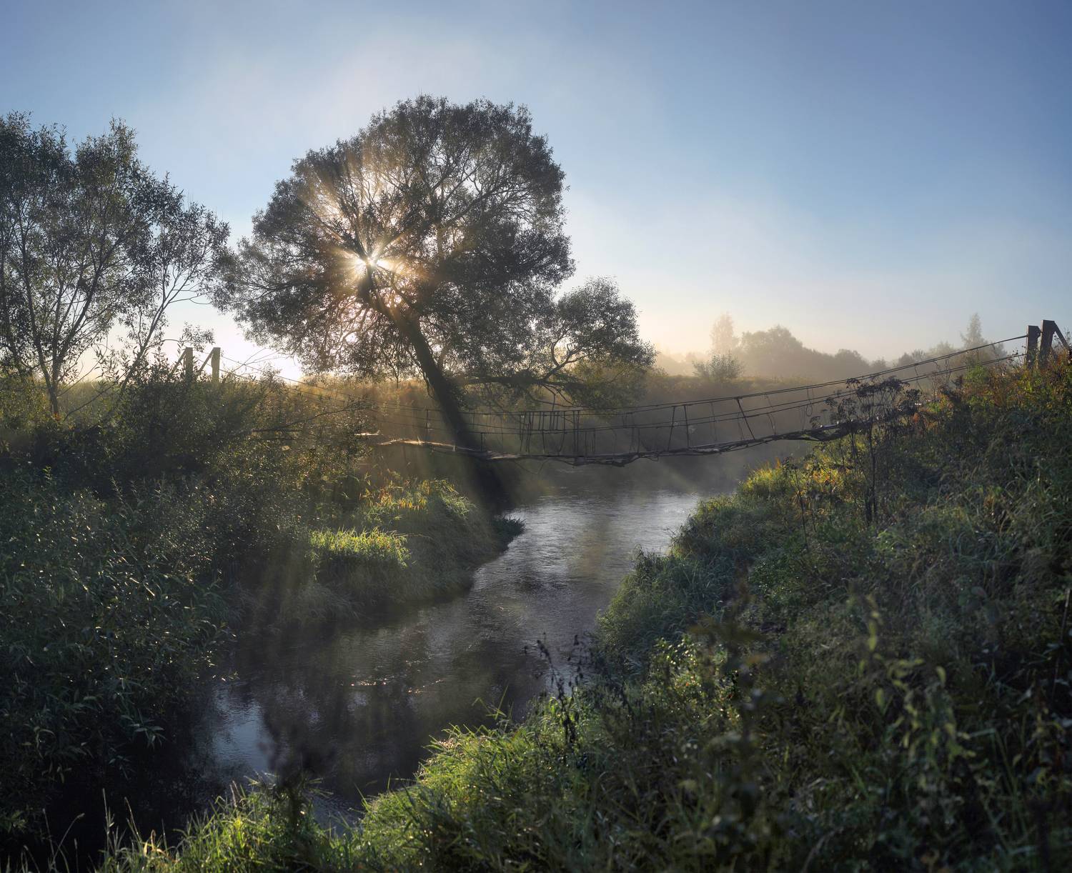 утро, река , мостик, Александр Свистков