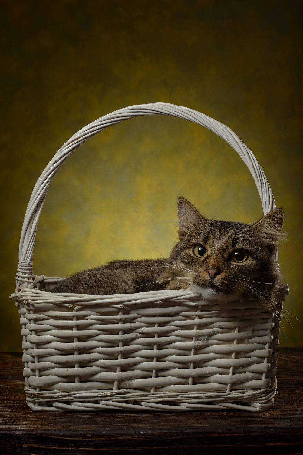 , Сизов Кирилл