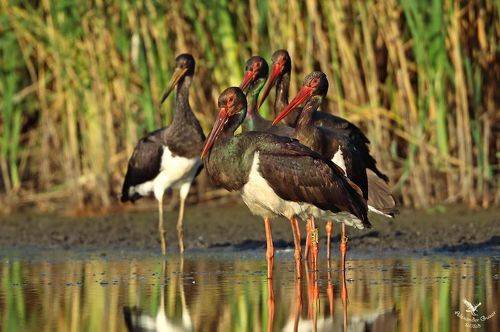 Коллективное фото на память.