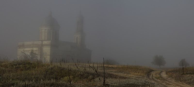 Туманное утро фото превью