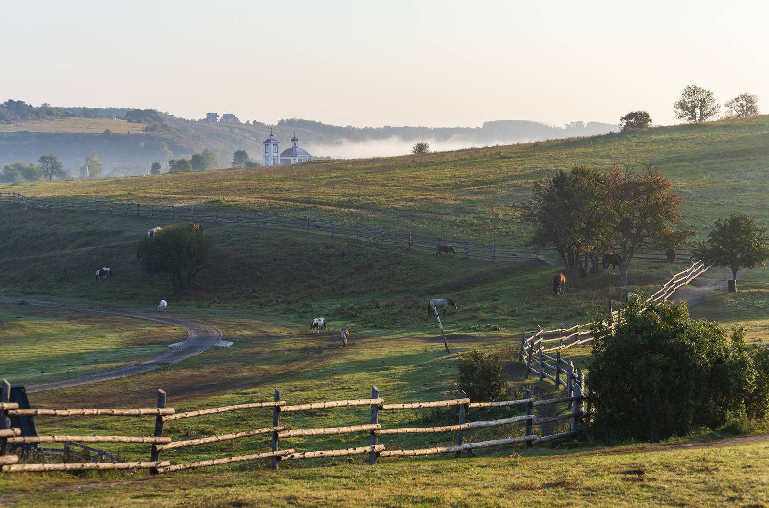, Дмитрий Новоселов