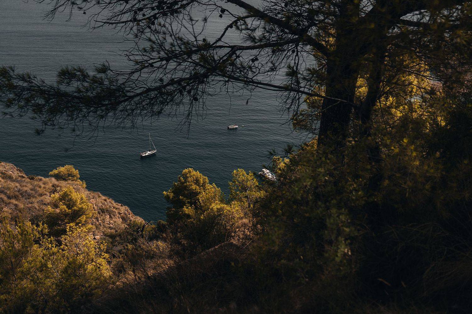 , Шаповалов Олег