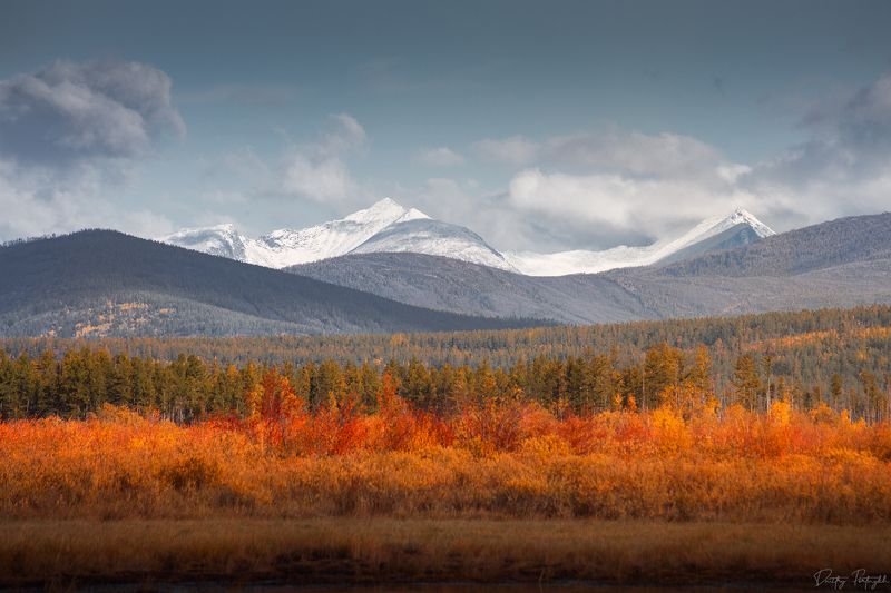 Золотая осень фото превью