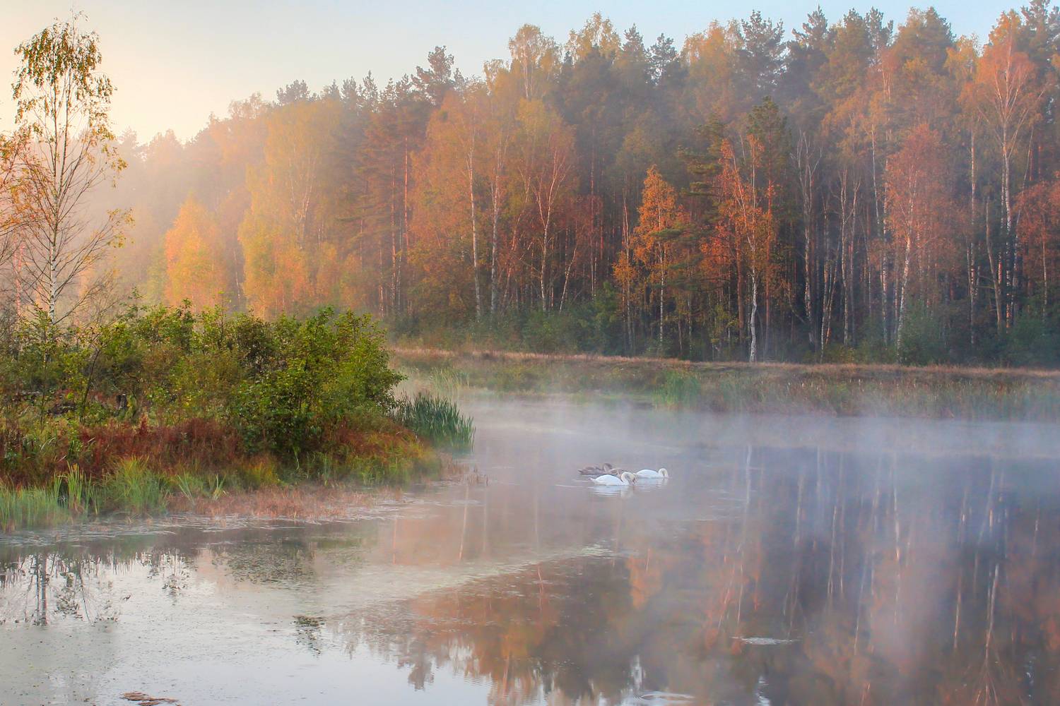 , Игорь Денисов