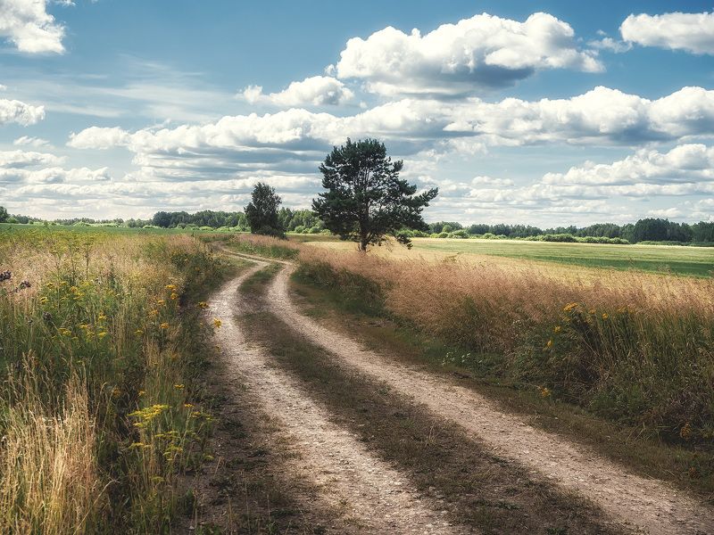 *** фото превью