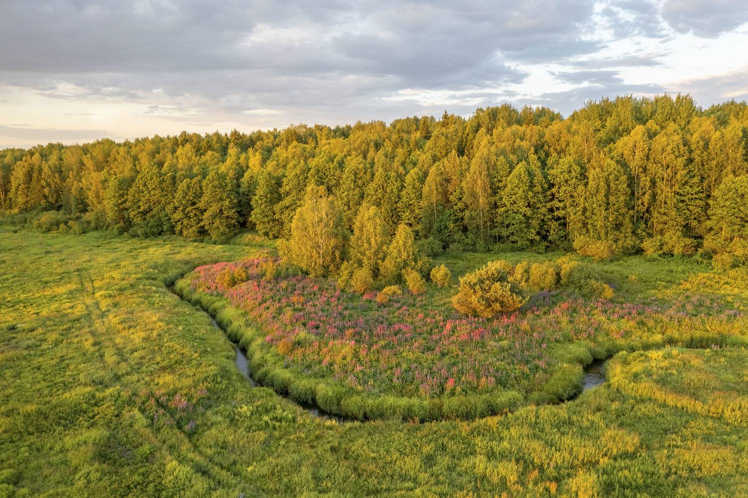 Фототуры с Владимиром Рябковым, #topnature #russpasibo #magic_shots #lovelyRussia #sunset_vision #exclusive_sky  #exclusive_shots #loves_russia2 #photoarena_nature #nature_sultans #nature_perfection #rsa_sky #rsa_sunset #photorussia #rsa_naturepics #sunse, Владимир Рябков