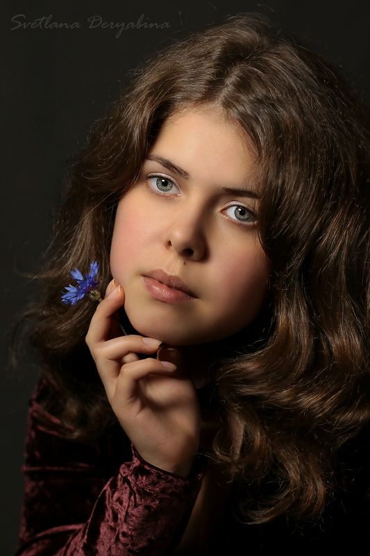 Васильки фото превью