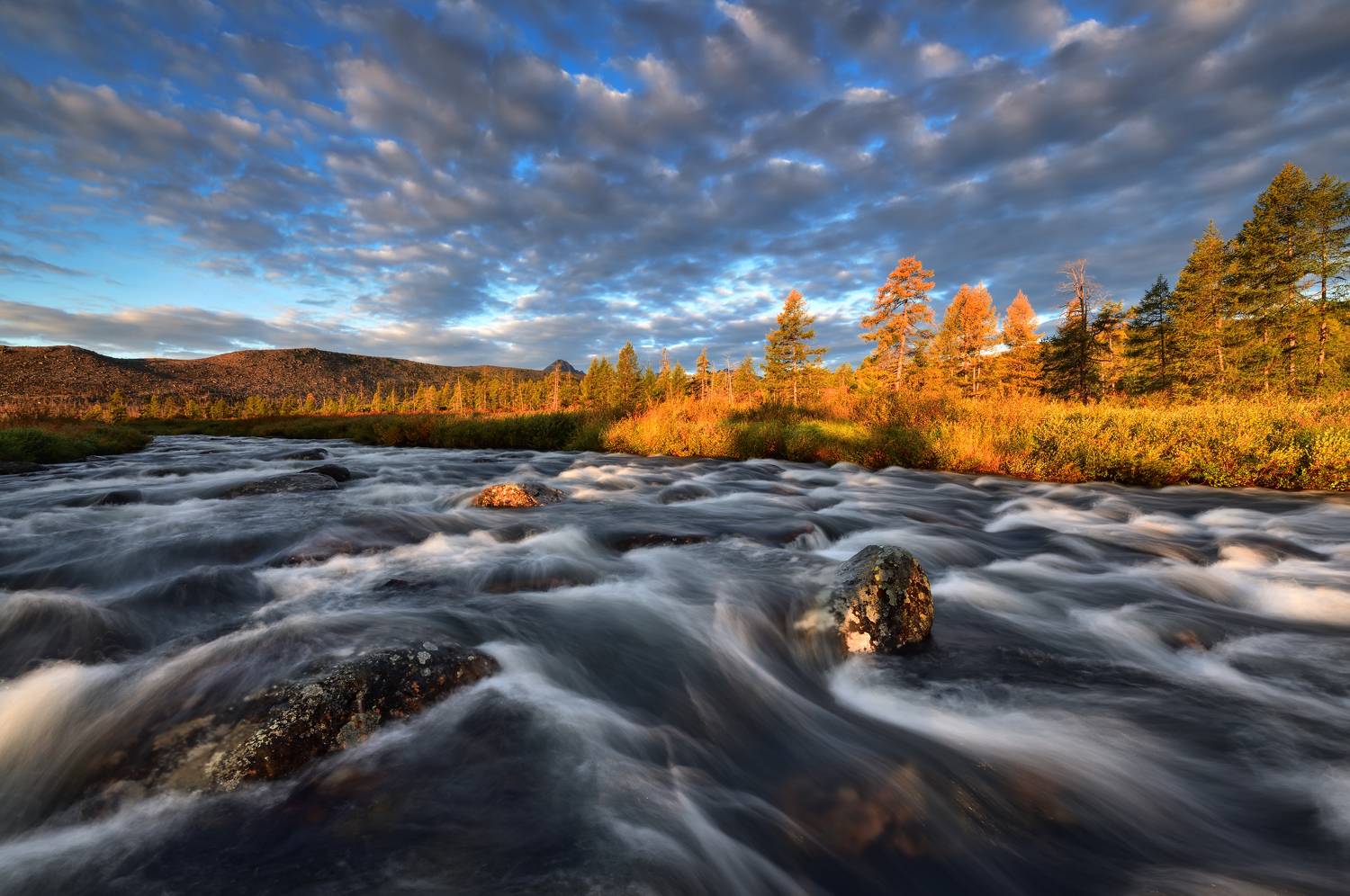 Озеро Джека Лондона, Максим Евдокимов