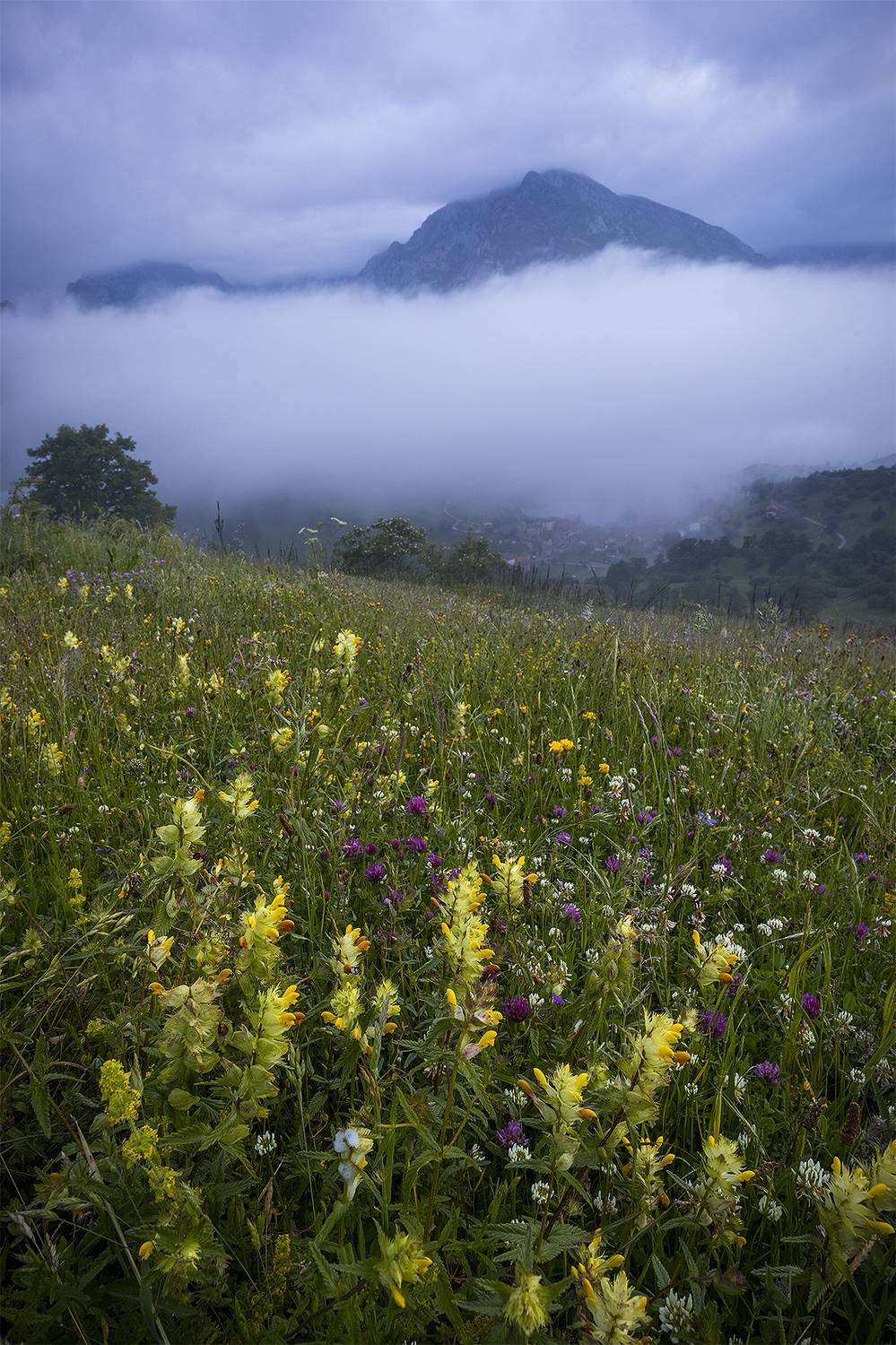 photography, mountain, spring, flower, landscape, photo, awakening, flowers, land, landmark, lands, dramatic ligth, ligth, mountains, jimenez millan samuel