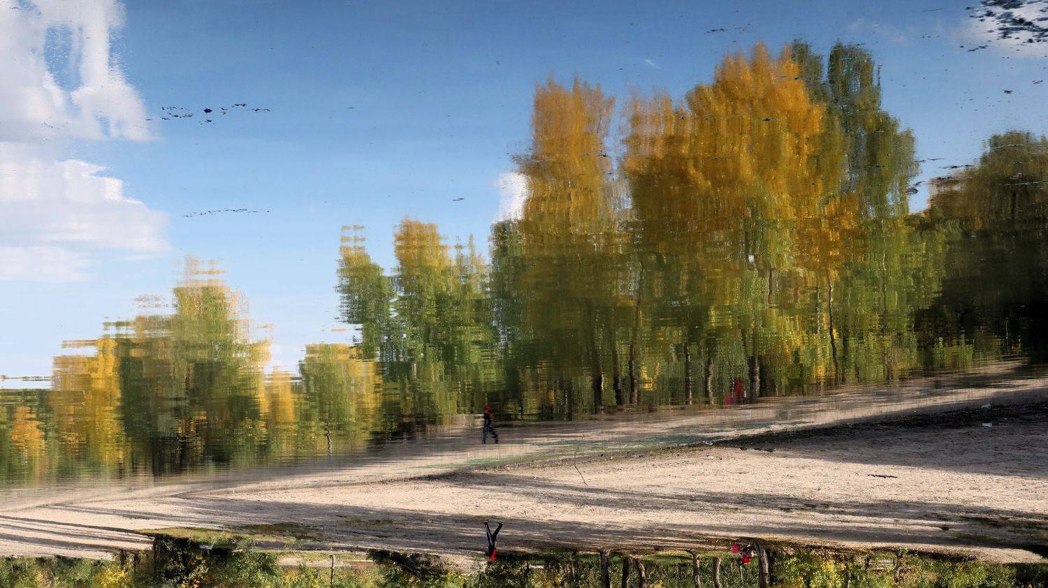 отражение,осень,река,обь, Козлова Галина