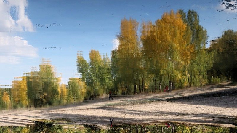 отражение,осень,река,обь Отражение в реке Обь фото превью