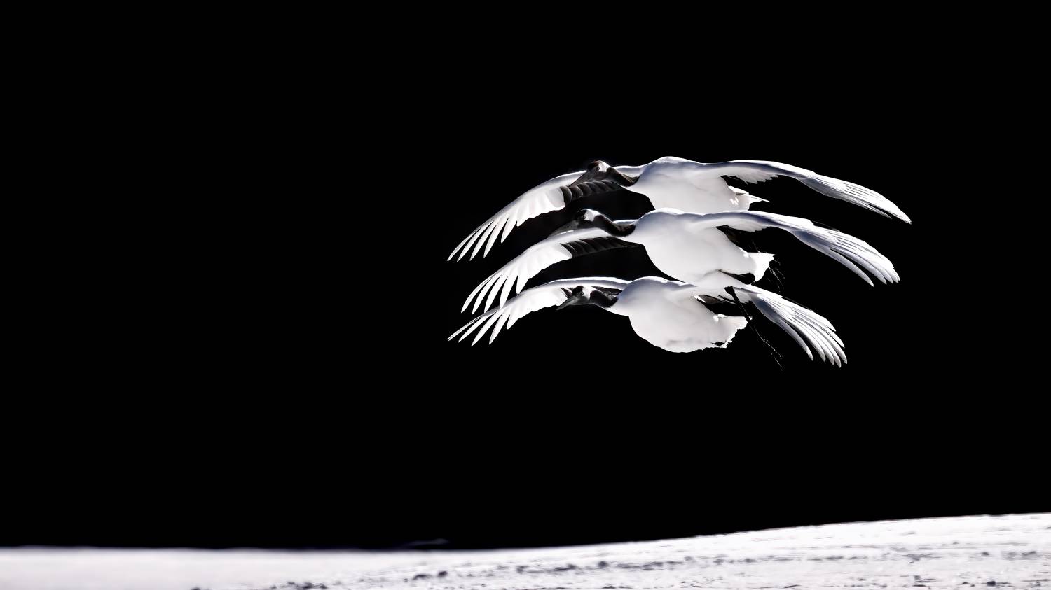 , Николай Мозгунов