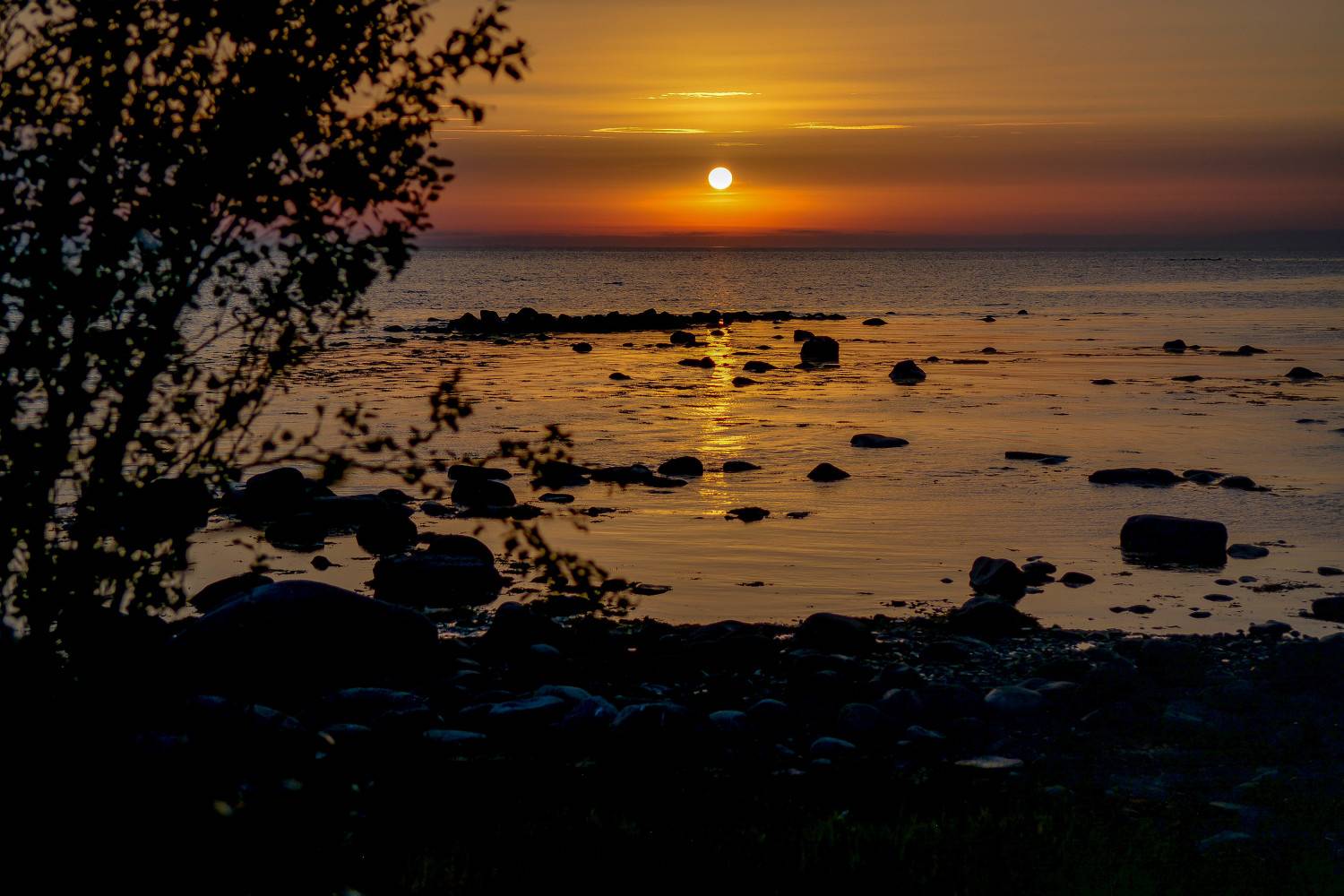 , Алексей Ильин