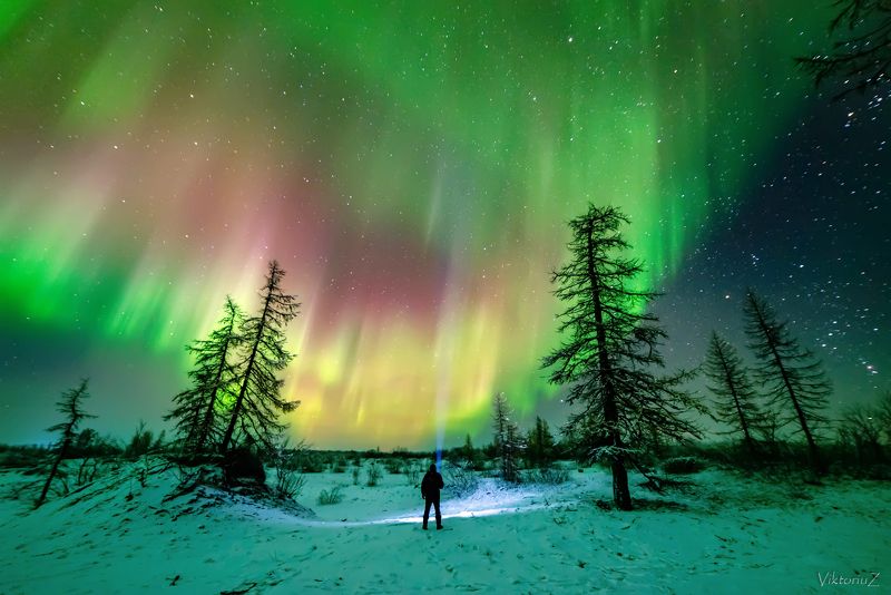 северное сияние, полярное сияние, заполярье, aurora borealis, polar lights  фото превью