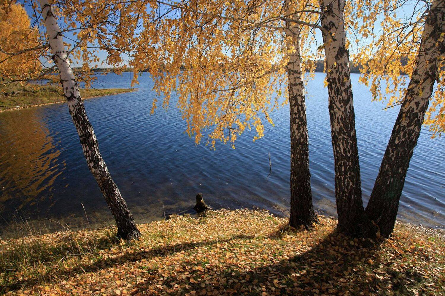 , Алексей Хахлов