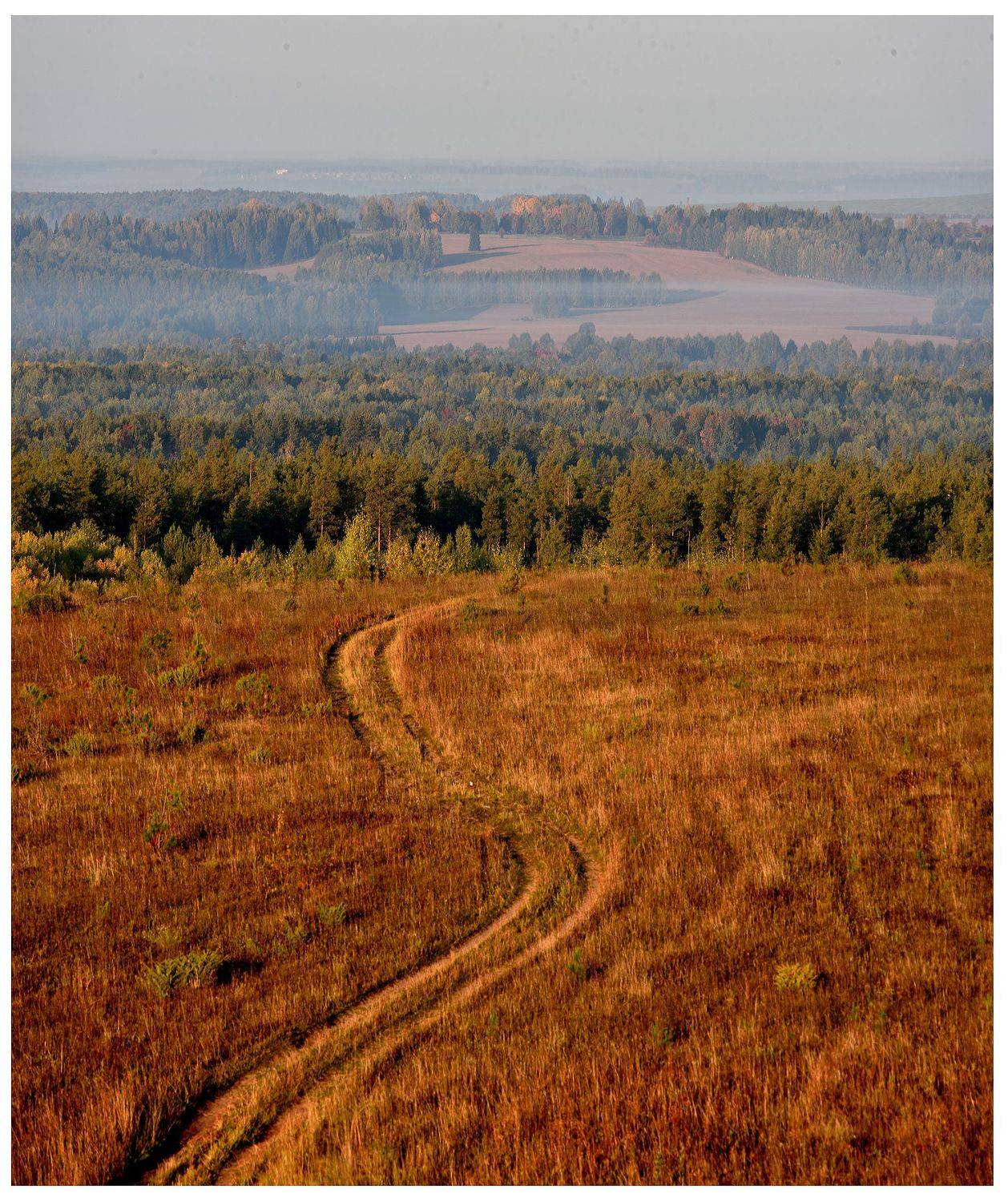 , Андрей Зыкин