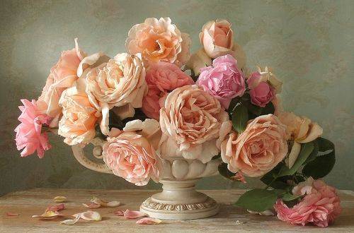 Вдыхая аромат прекрасный