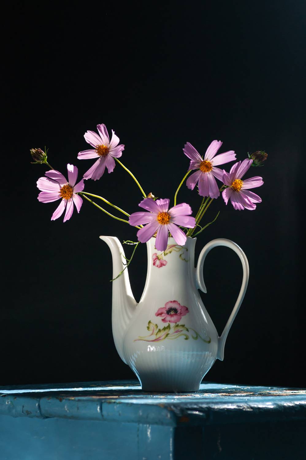 , Елена   Павлюк