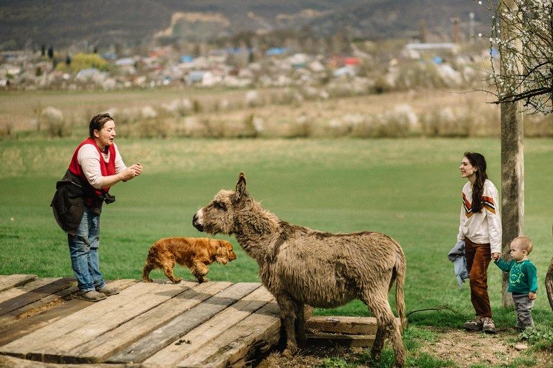 фото превью