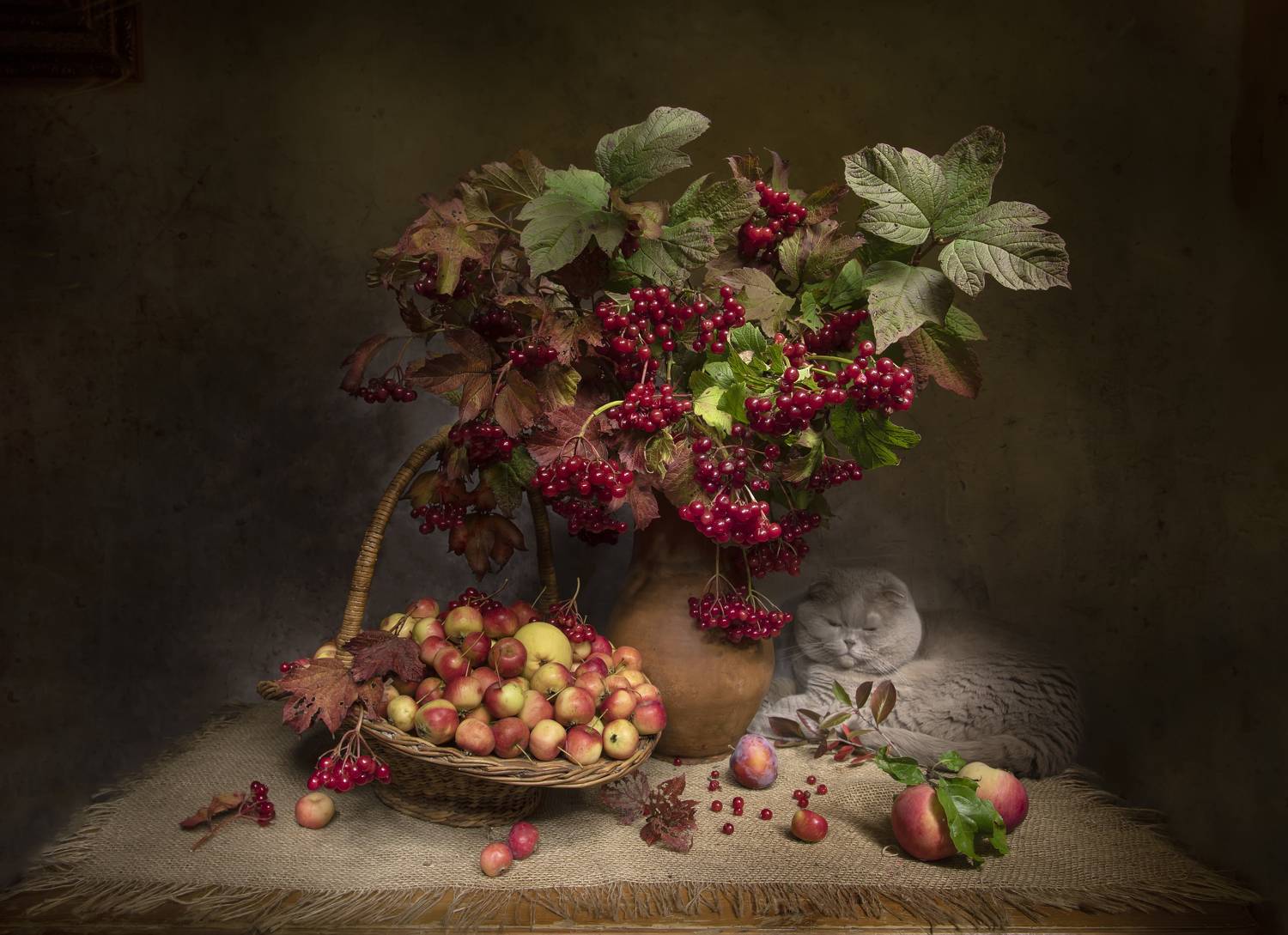 натюрморт, калина, райские яблочки,к кот, шотландский, вислоухий, Татьяна Феденкова